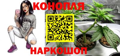 шишки Краснознаменск