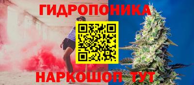 сатива Краснокаменск