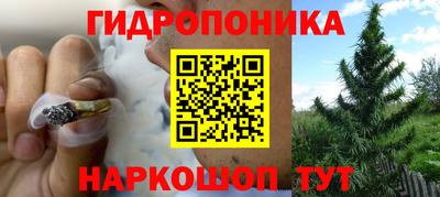 шишки Краснознаменск