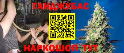 шишки Краснознаменск