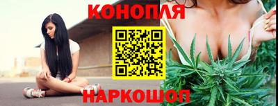 шишки Краснознаменск
